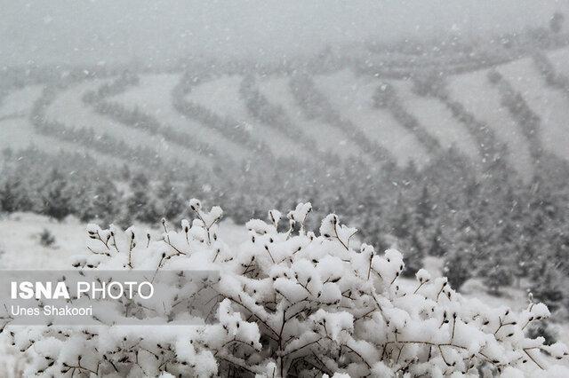 بارش برف و باران در محورهای مواصلاتی مازندران بارش برف و باران در محورهای مواصلاتی مازندران