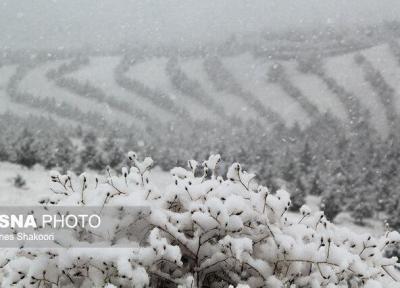 بارش برف و باران در محورهای مواصلاتی مازندران