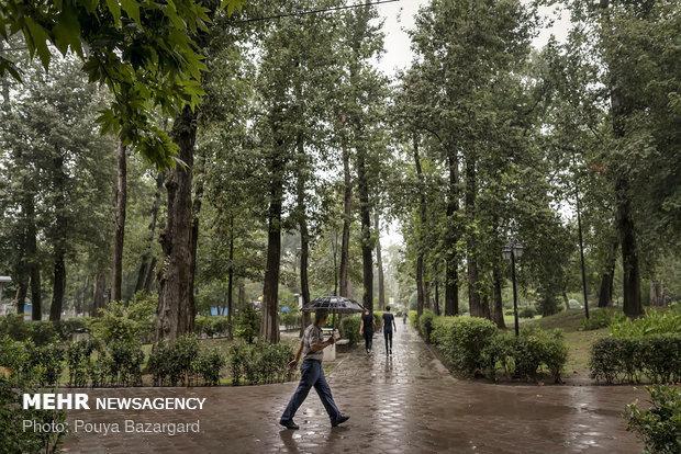 باران به گیلان باز می گردد، کاهش 4 تا 8 درجه ای دمای هوا باران به گیلان باز می شود، کاهش 4 تا 8 درجه ای دمای هوا