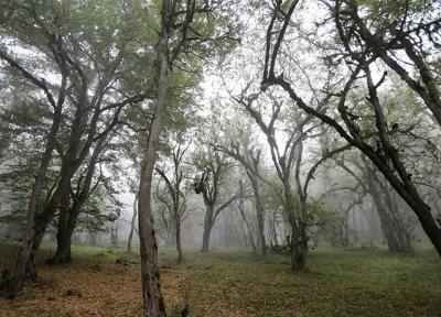 واکنش میراث فرهنگی مازندران به تخریب جنگل های هیرکانی برای انتقال آب ، ابهام در جهت خط لوله انتقال آب خزر به سمنان