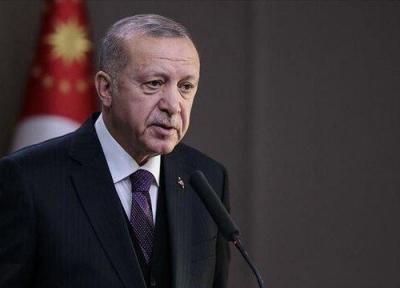 اردوغان: آموزشگاه نوبل به نقض حقوق بشر پاداش می دهد