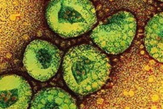 آماده باش علوم پزشکی شهرستان های استان کرمان برای مقابله با کرونا ویروس