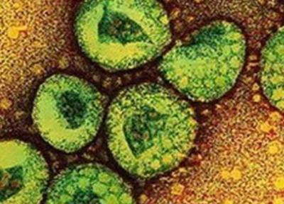 آماده باش علوم پزشکی شهرستان های استان کرمان برای مقابله با کرونا ویروس