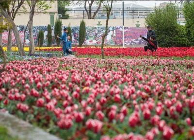 افتتاح بوستان زندگی در قلب بافت تاریخی تهران تا سرانجام شهریور