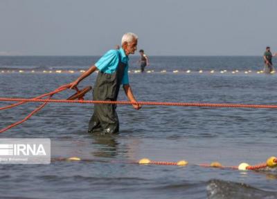 خبرنگاران سرما و توفانی بودن دلیل اصلی کاهش صید ماهی در سواحل مازندران