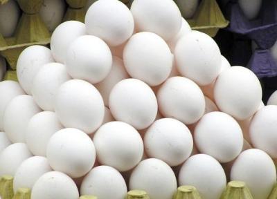 چرا تخم مرغ دوباره گران شد؟