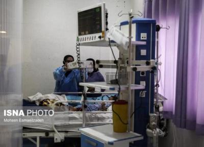 نیروهای قراردادی و طرحی مراکز بهداشت دشتستان جذب شوند