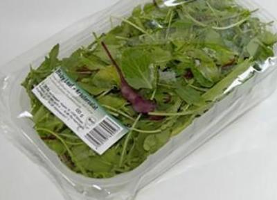 پیدا شدن قورباغه زنده در بسته بندی سبزیجات فروشگاهی (طراحی ویلاهای کوچک)