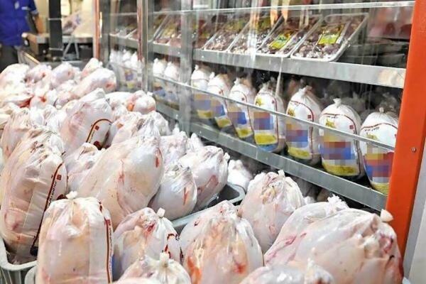 کاهش قیمت مرغ منجمد ، جدیدترین قیمت مرغ در بازار