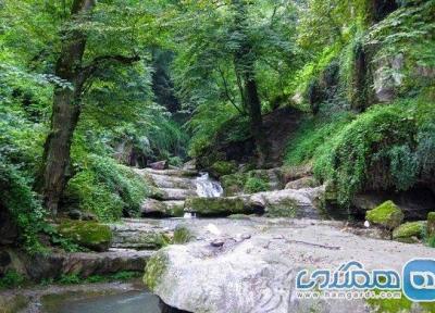 پارک جنگلی شیرآباد یکی از تفرجگاه های استان گلستان به شمار می رود