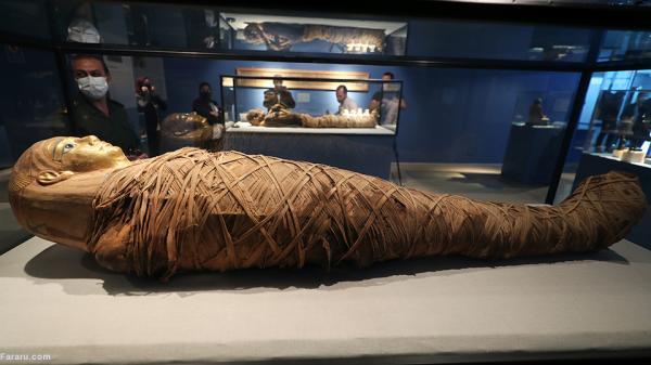 موزه مصر: سفری شگفت انگیز به اعماق تاریخ و فرهنگ مصر باستان