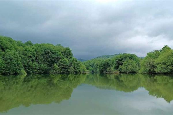 راهنمای سفر یک روزه در جنگل برنجستانک